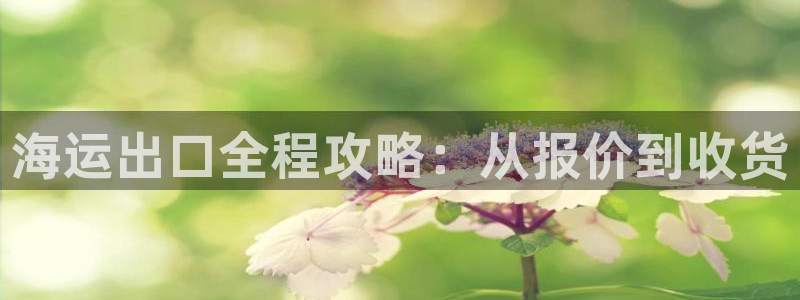 欢迎你来到 公主的海岛