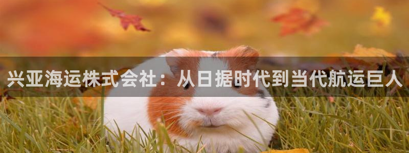 公海赌船赌博