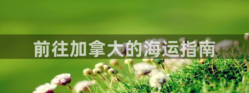 公海赌博是什么意思