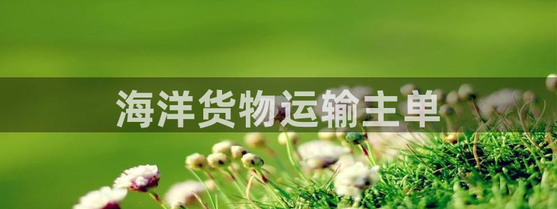 在公海赌博不违法吗