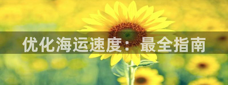 欢迎来到公海欢迎来到