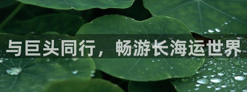欢迎你来到公海 赌船