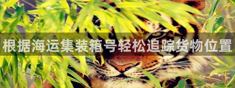 公海赌赌船官网真的吗