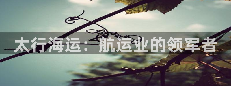 欢迎你来到 公主的海岛