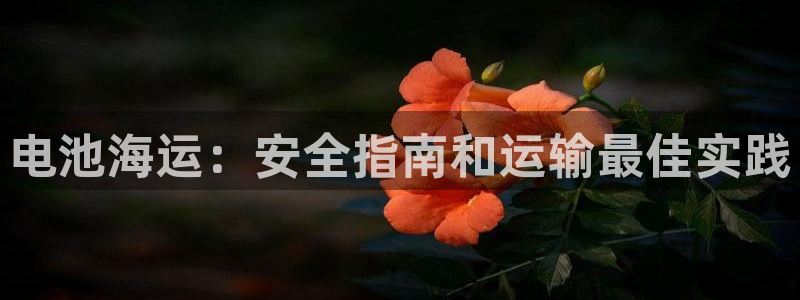 公海赌赌船官网介绍人