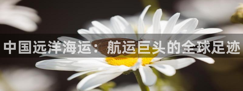 欢迎你来到公主的海岛