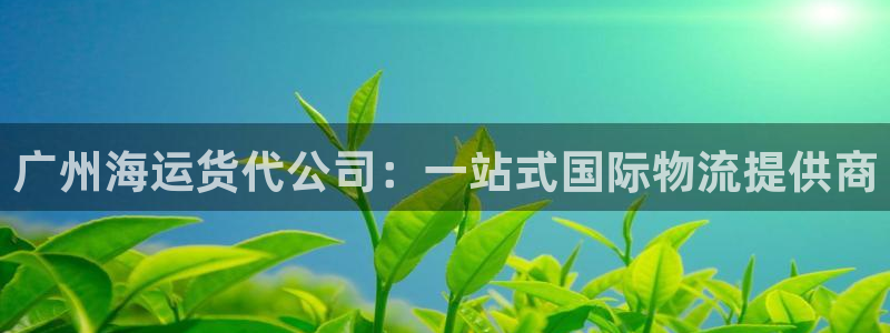 公海赌赌船官网