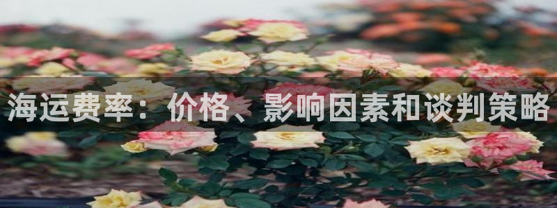 欢迎上船