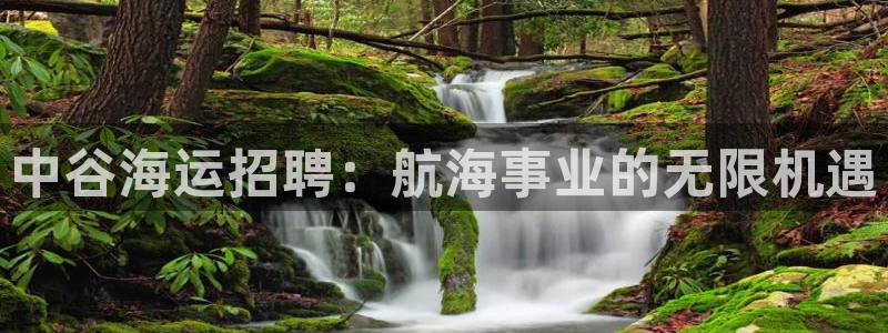公海赌船网页