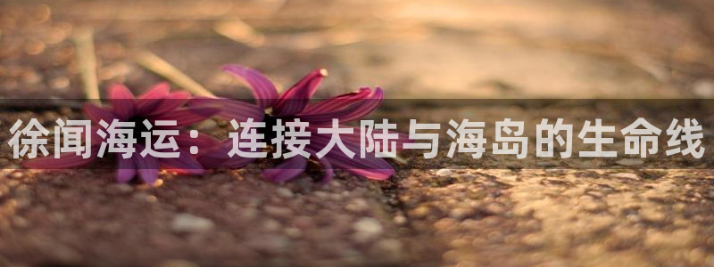 公海赌赌船官网jc7