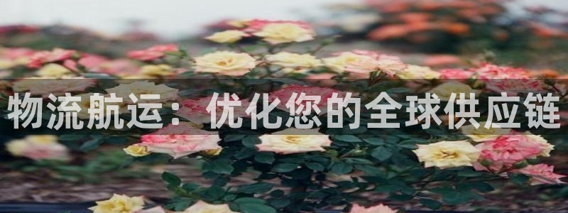 欢迎你来到公海 赌船