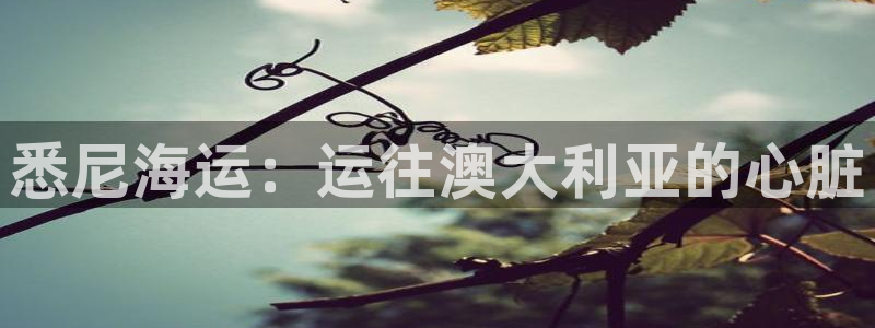 欢迎来到公海