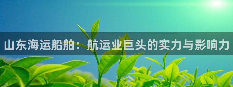 欢迎来到赌船公海710