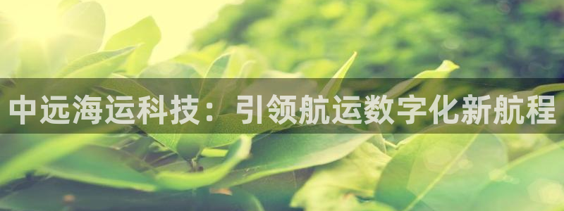 在公海赌博不违法吗