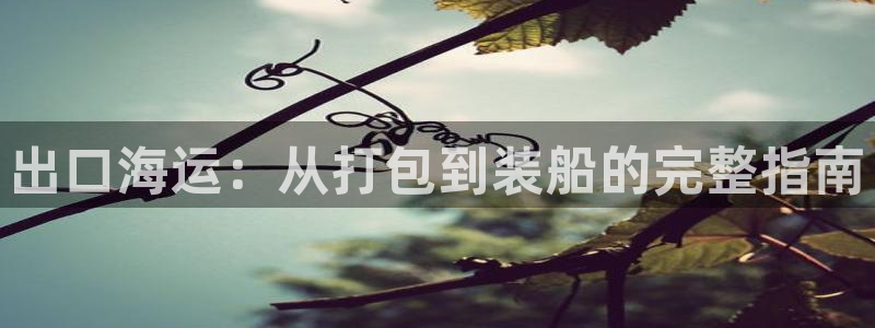欢迎你来到公海赌