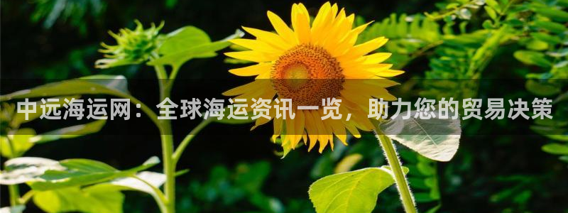 公海赌赌船官网710登录