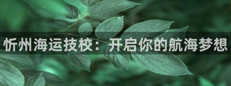 在公海赌博犯法吗
