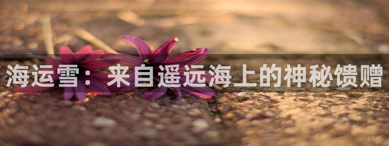 公海赌赌船最新版本更新内容