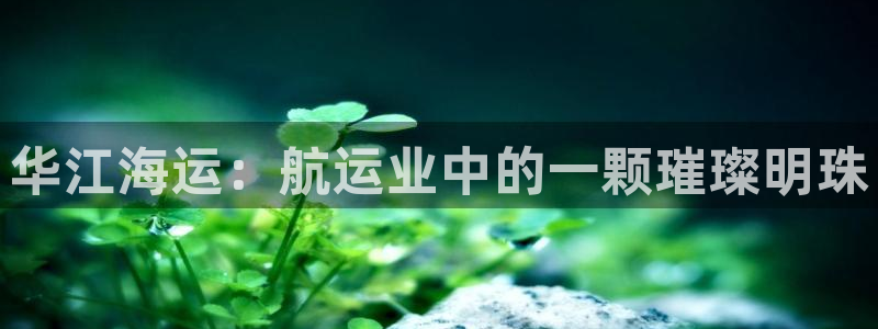 欢迎来到公海电脑版