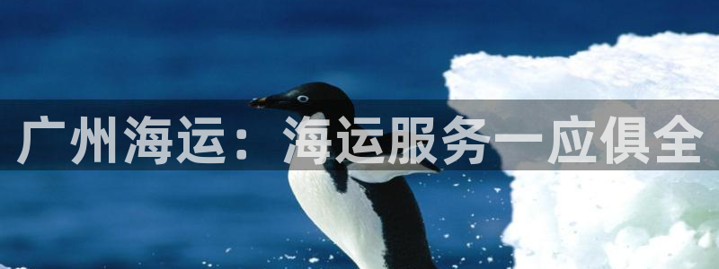 公海赌赌船贵宾会员检测路线