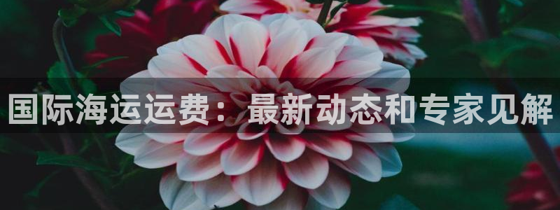 公海 赌船710手机版下载