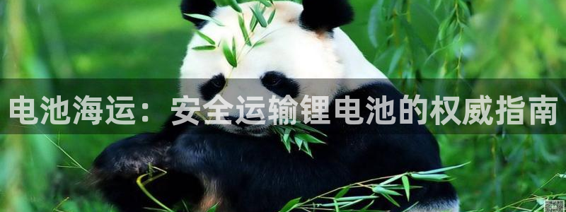 欢迎来到公海7109线路