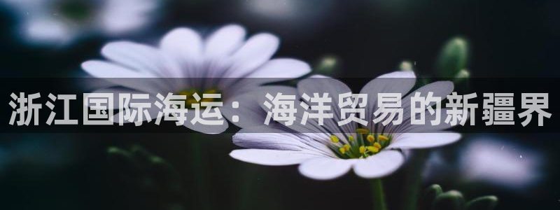 公海赌船官网下载