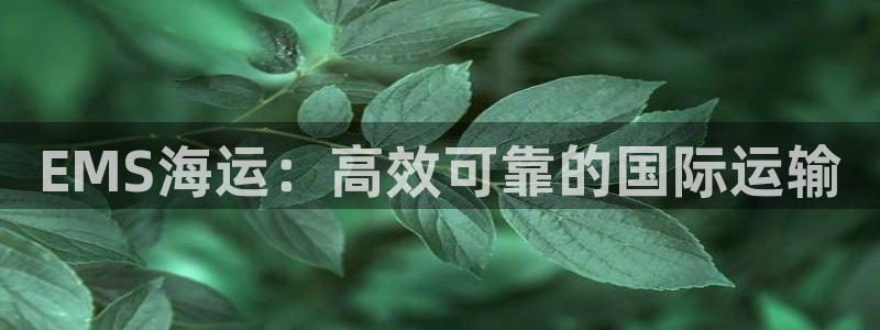 欢迎来公海欢迎来赌船!