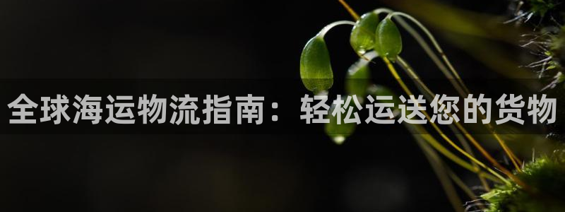 公海赌博犯法吗