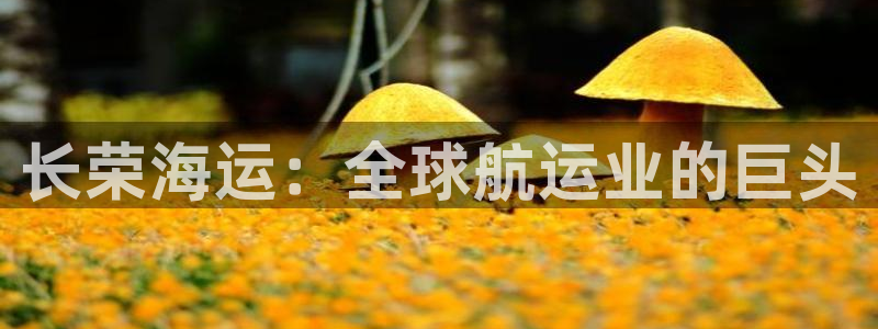 欢迎来到公海.欢迎来到赌船