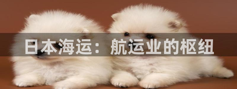 公海赌赌船利息宝是真的吗