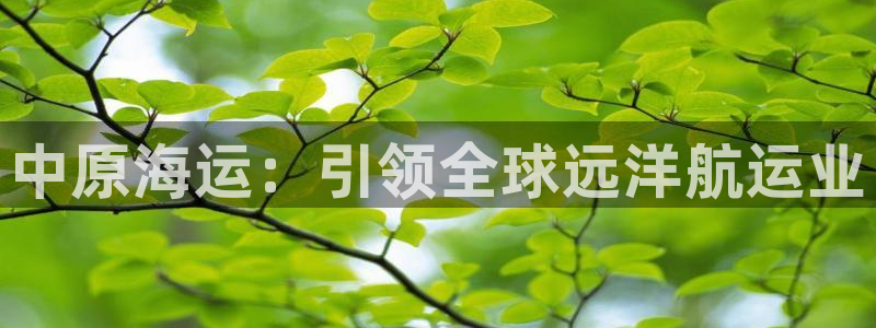 在公海赌博犯法吗