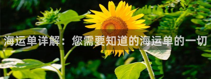 欢迎你来到公海欢迎你来到赌船
