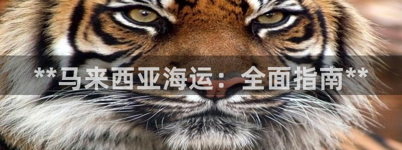 欢迎来到公海堵船
