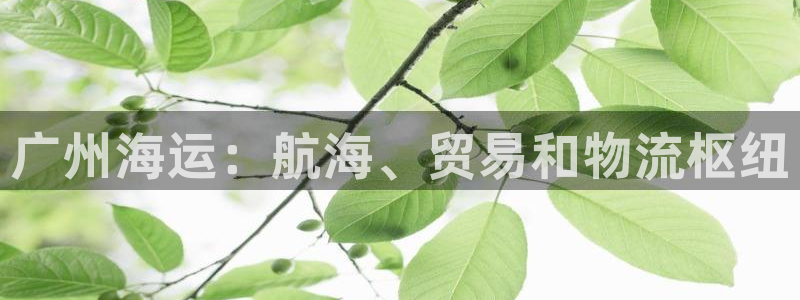 公海赌钱公安会抓吗