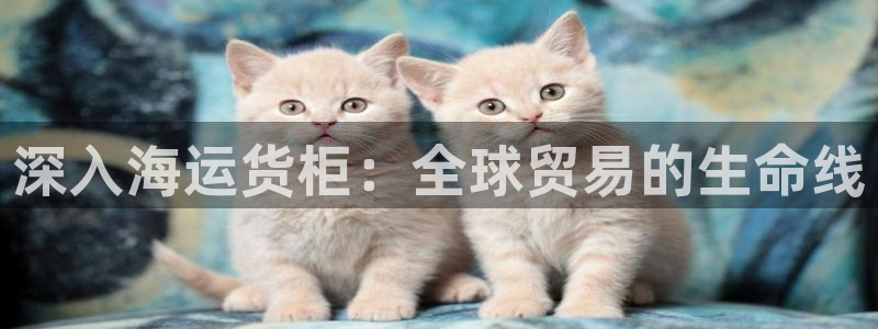 公海赌赌船贵宾会员检测路线