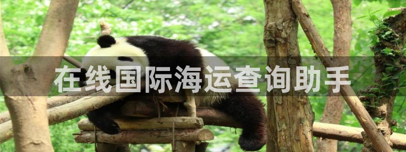 欢迎公海来到赌船710