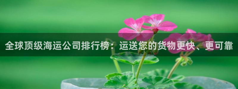 欢迎来到g港