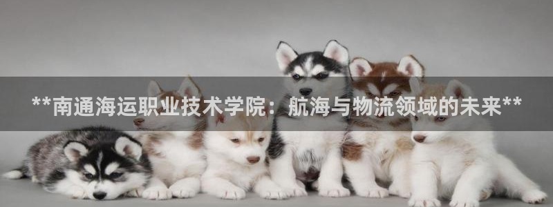 欢迎来到海边