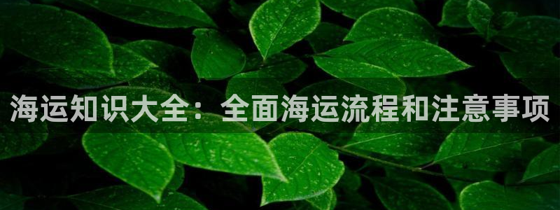 公海赌赌船官网图标