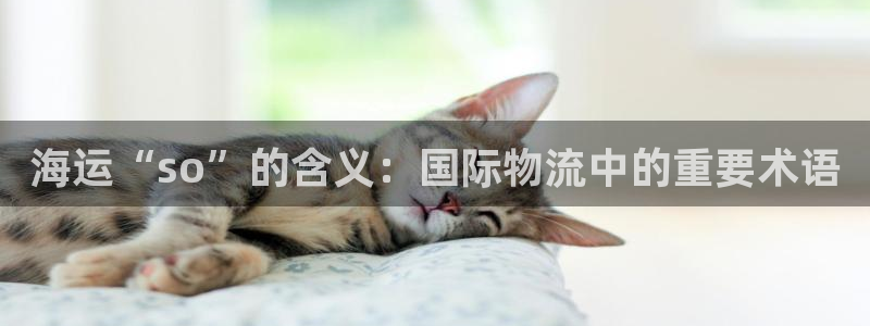 公海赌赌船最新版本更新内容