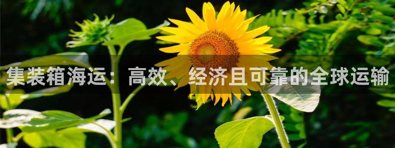 公海赌钱违法吗