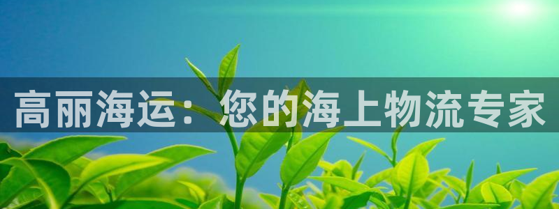 欢迎来公海欢迎来到船701